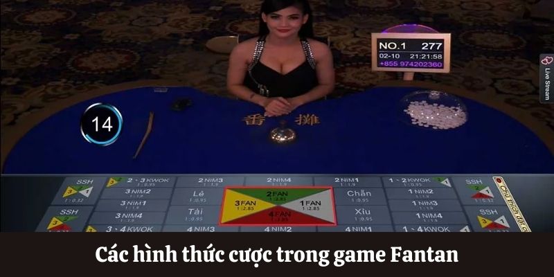 Top hình thức cược trong game Fantan online